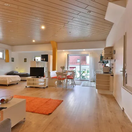 Apartman 90 Qm Lichtdurchflutete Im Loft-style Mit Balkon Und Naehe Zum Neckar